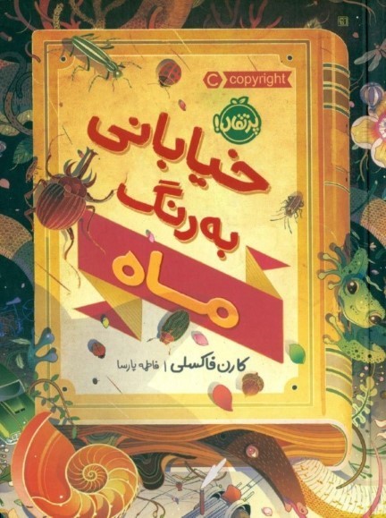 خیابانی به رنگ ماه